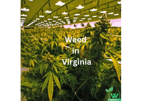 The Future of Weed: Delivery Services in Virginia