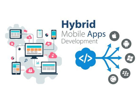 Unlock Business Potential with Advance Hybrid Application Development