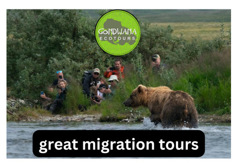 Witness Nature's Spectacle: Great Migration Tours by Gondwana Ecotours