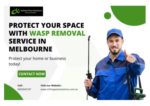 Protect Your Space with Wasp Removal Service in Melbourne