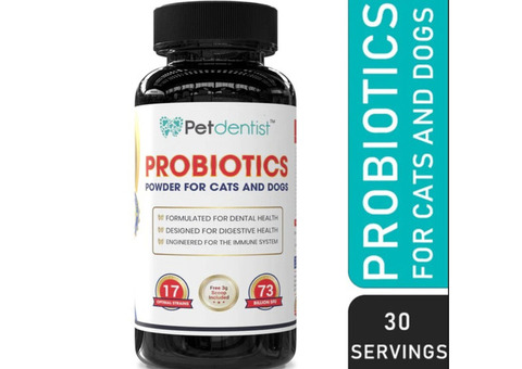 Unleash The Power of Probiotics for Dogs at Petdentist