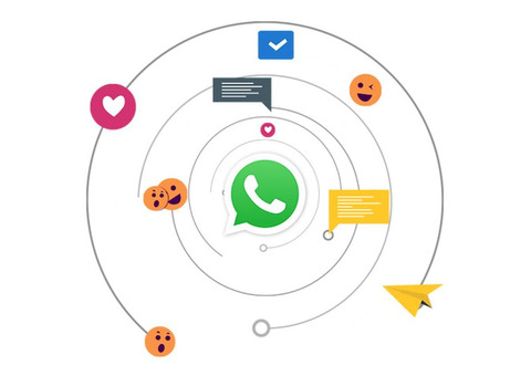 Drive Results with Expert Whatsapp Marketing Solutions | Makkpress