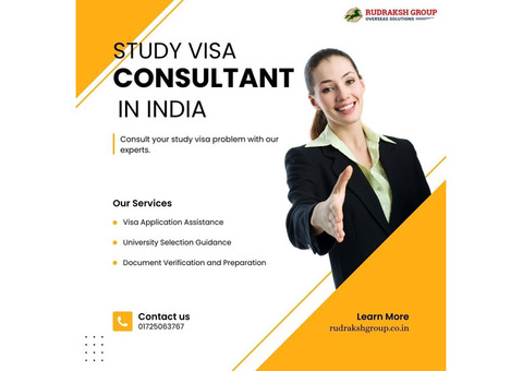 Our Professional Study Visa Consultants in India