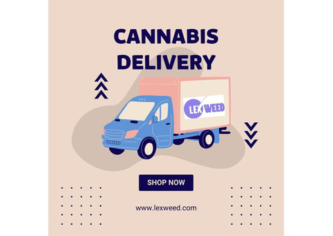 Cannabis Delivery in Westchester: Elevating Your Experience