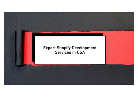 Shopify Development Services in USA - The Brihaspati Infotech
