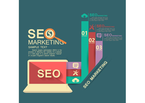 Thinkers Media's SEO Solutions At Affordable Packages