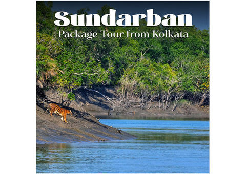 Looking For Sundarban Package Tour with Hotel Sonar Bangla ?