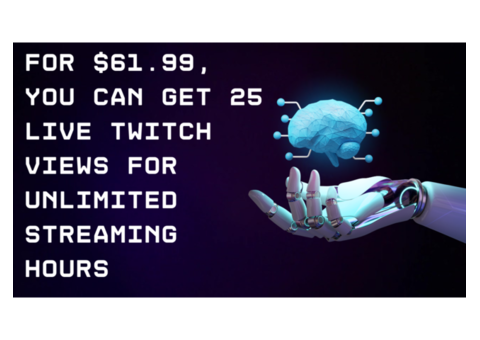 For $10.99, you can get 25 Live Twitch Views