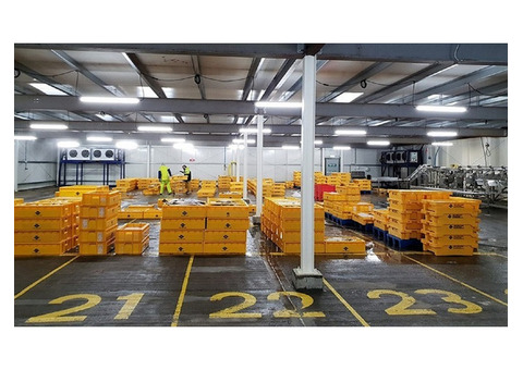 Reliable Cold Storage Facilities: Keep Your Products Fresh
