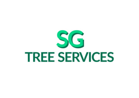 Professional Tree Felling Services In The UK By SG Tree Services