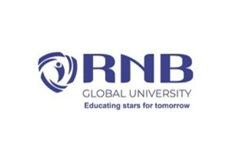 Top Institutes for BCA in Bikaner | RNB Global University