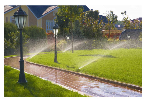 Best Rainbird Sprinkler System Installation - Tedot's Finest