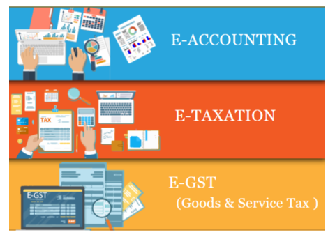 Advanced Accounting Institute in Delhi, with Free SAP Finance