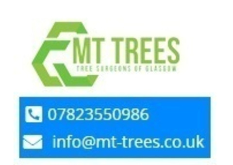 MT Trees Services in Glasgow