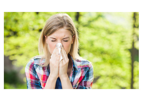 Top-Notch Natural Treatments for Respiratory Allergies