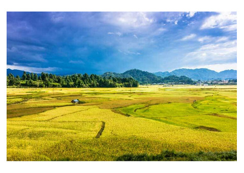 Holiday spl Arunachal package tour from Bangalore