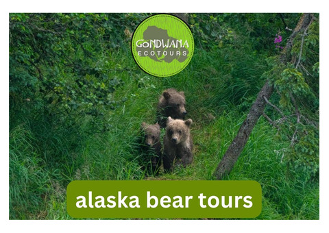 Explore Alaska's Untamed Wilderness with Gondwana Ecotours' Bear Tours