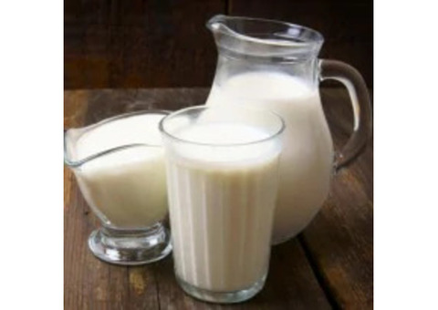 Buy A2 Milk Online in Mumbai - 100% Pure and Fresh