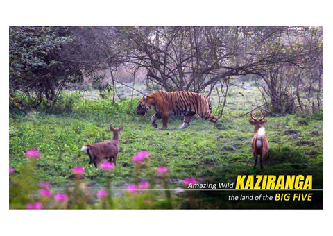 Amazing Kaziranga Shillong Cherrapunji Package Tour from Guwahati