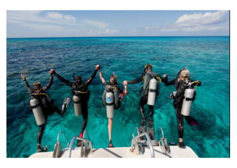 Elevate Your Diving Career with PADI Divemaster