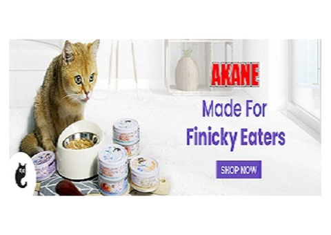 Unveiling the Top 5 Healthiest Cat Foods: A Feline Nutrition Odyssey
