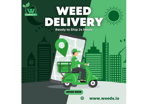 Welcome to WeedX - Your Premier E-Marketplace for Cannabis in the USA