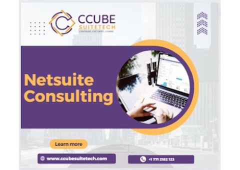 Netsuite Functional Consultant | Ccubesuitetech
