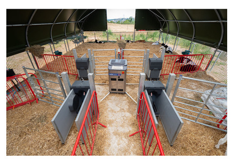 Meeting Livestock Housing Requirements Via The Stack Effect