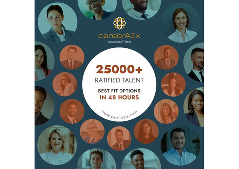 Hire a Data Engineer at Cerebraix