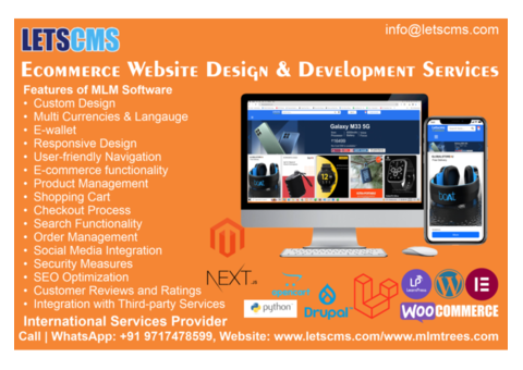 E-commerce Website Design and Development Services and Custom