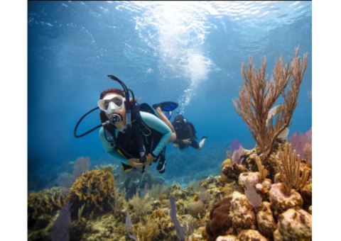 Dive Training Courses in Sydney