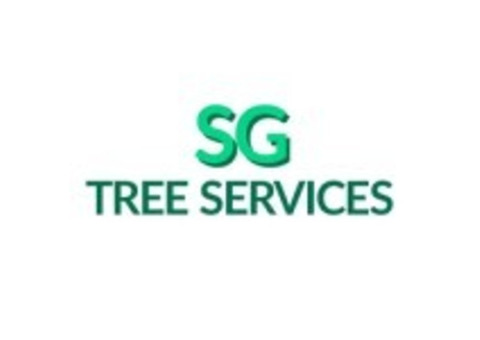 As Achieve A Healthier Tree Canopy With Tree Thinning ServicesAberdeen