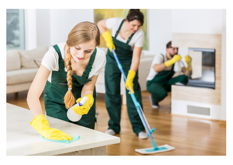 How to Choose the Perfect Cleaning Service in Seattle for Your Home?