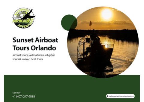 Orlando Sunset Airboat: Nature's Show