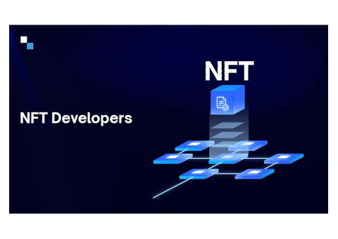 Hire the Best NFT Game Developers | Antier