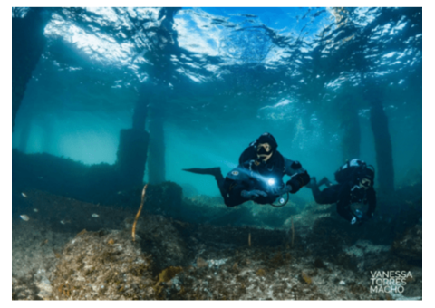 PADI Diving Adventures With  Dive Centre Bondi