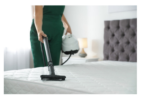 Barnes & Young Carpet Cleaning | Carpet Cleaning Service