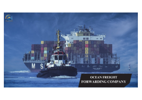 Top Ocean Freight Forwarding Company in New York