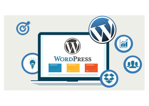 WordPress Website Development Company In Hyderabad| Crowlerhub
