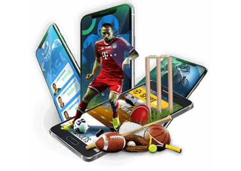 Online Sportsbook Software Providers in USA