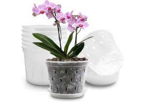 Find the Perfect Orchid Pots for Sale at Green Barn Orchid