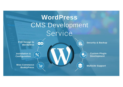 WordPress  Development Company In Hyderabad| Crowlerhub