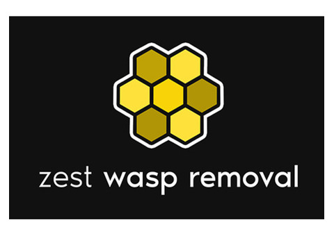 Zest Wasp Removal