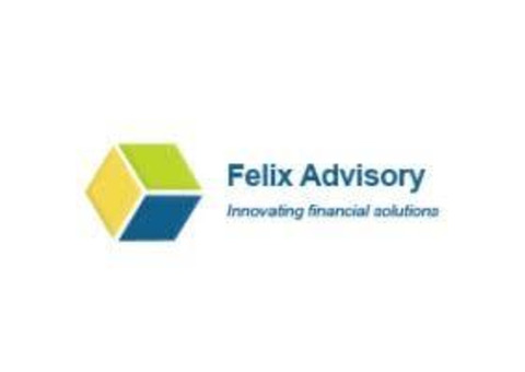 Premier Accounting Advisory Services in India - Felix Advisory