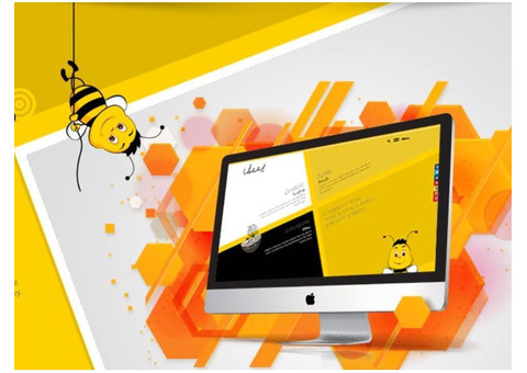Searching for a website development company! Check IBees