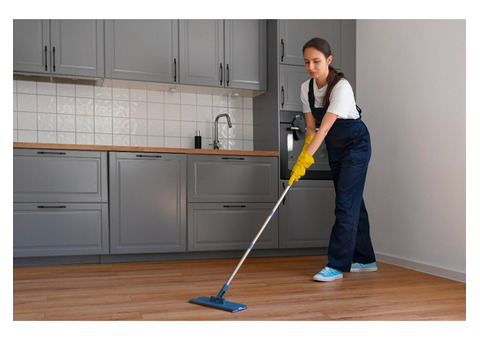 Sparkle Your Home with Professional Domestic Cleaning Services!