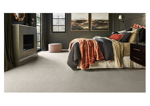 Elevate Your Space with Eco Friendly Wool Carpet Flooring