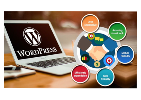 Top WordPress Website Development Company In Hyderabad| Crowlerhub