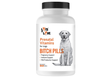 Bitch Pills for Dogs