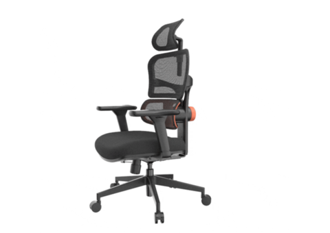 Buy Ergonomic Chair Online canada